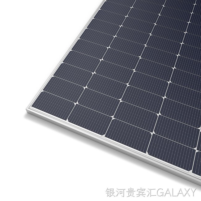 156 Cell Bifacial Module (M10)